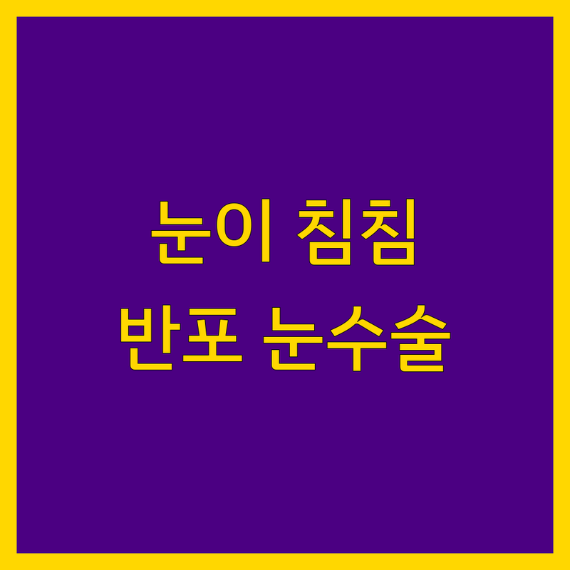 아이고, 눈이 침침하데이! 서울 서초구 반포동에서 찾은 꼼꼼하고 믿음직한 눈 수술 전문 성형외과 4곳 | 직접 방문 후기 포함
